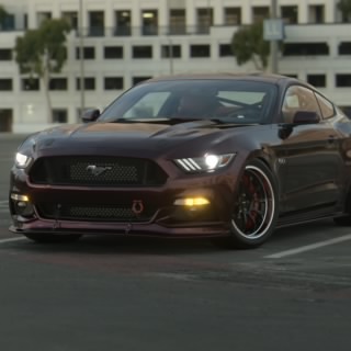 Redbeard