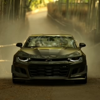 ميش