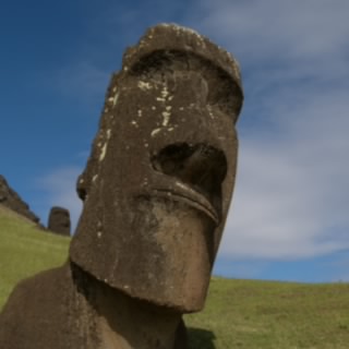 WujekBizonek
