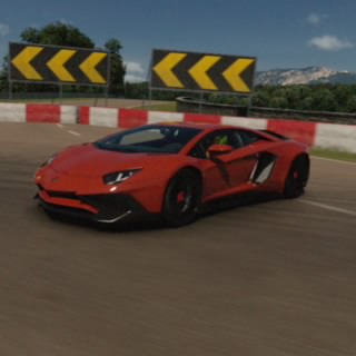 Wille_209