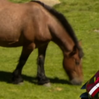 usaeru