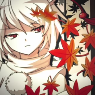 Lycoris