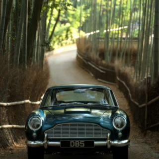 Gracie_Racer