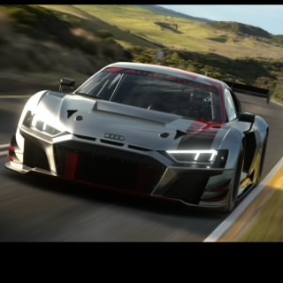 Mus