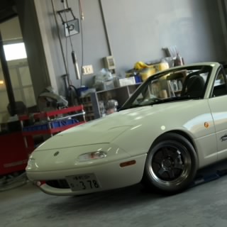 masa.zn6