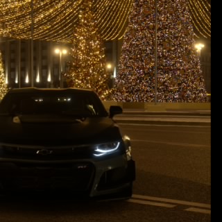 Dodo