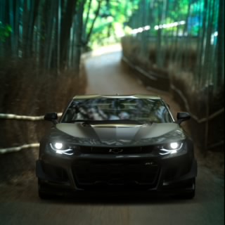 Jav