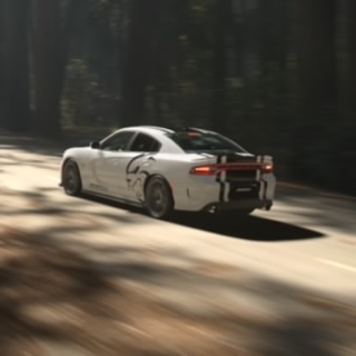 Wollf7