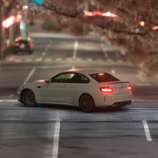 ruru_lhs