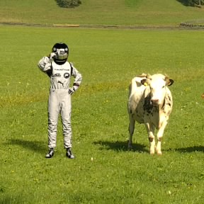 Xforza