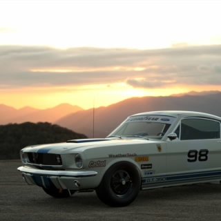 shanman76