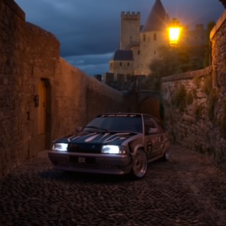 Metalorion1
