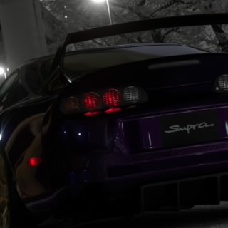 SV1K