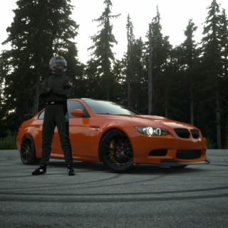 The stig