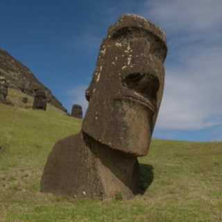 Pedro