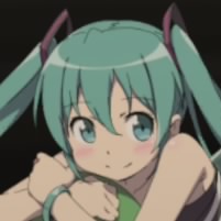 葵