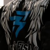 GT Karl