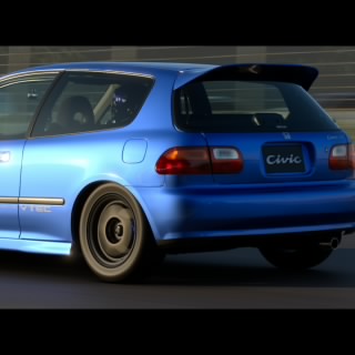 GiPol