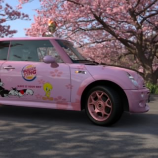 Cidscars