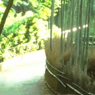Eagle-CheaTz