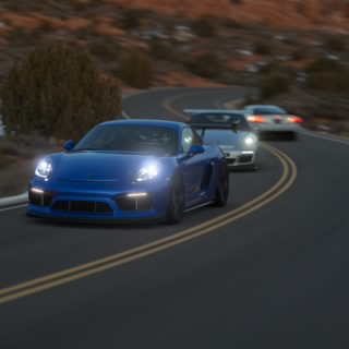 Terry