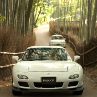 H・A・T♂(ハット)