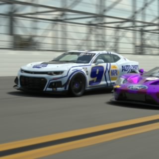 DucklingBug1