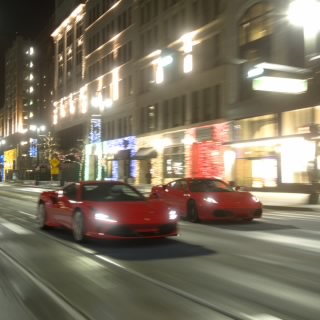 The_stig