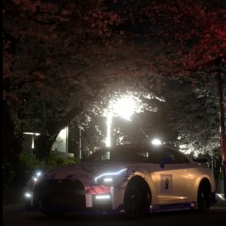 RonanTheDriver