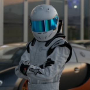 The stig