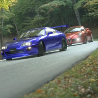 Damiano
