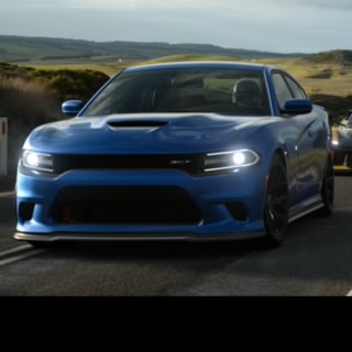 Cassi28lf