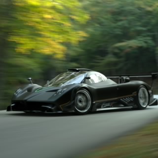 ExoticRubber