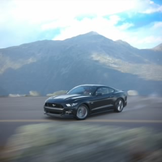 Speeding Pass 