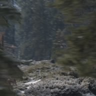 zero
