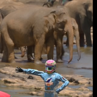 NoahHoa