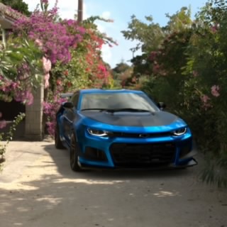 shaker