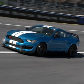 SHARK