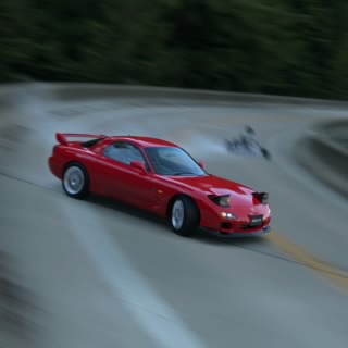 Mantis