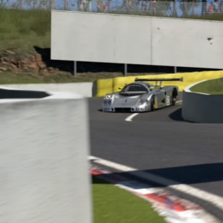 Starling96