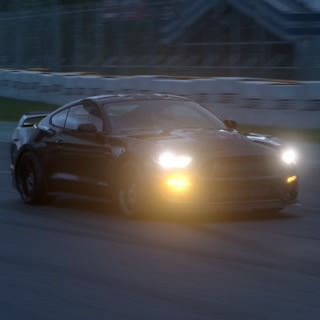 CobraKing