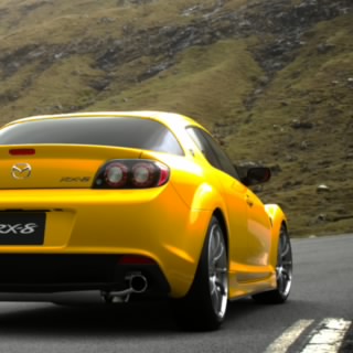 Lee98RTY