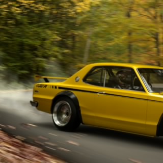 S1Y33