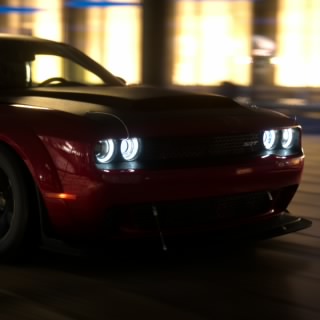 Andersonaca25