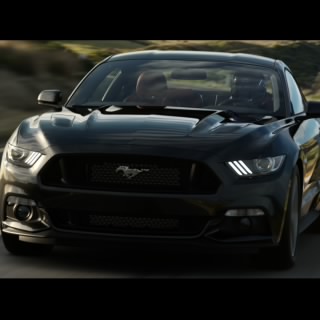 Dr. Mustang