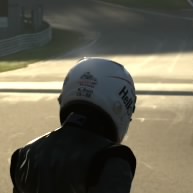 The Stig