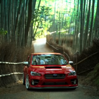 SENNA