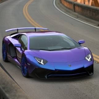 Fredster8864