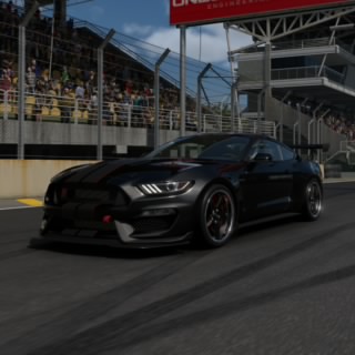 Dark Valbuline