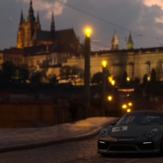 Agaonfire51